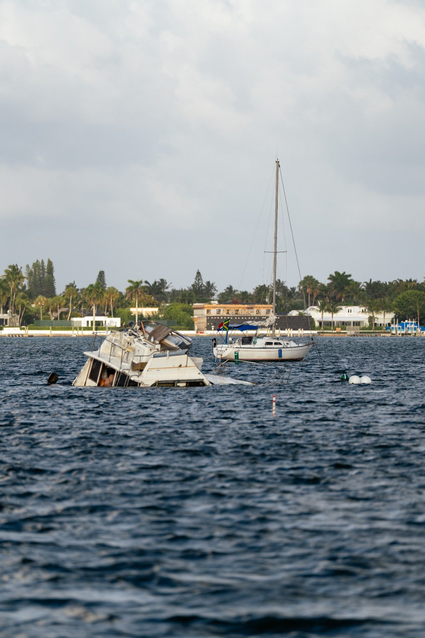 Sailboats on the water in Palm Beach, Florida